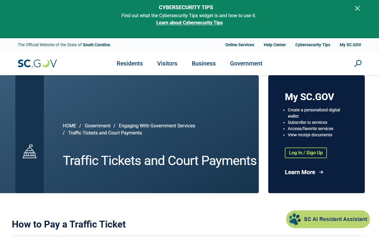 Berkeley County traffic court records through SC.GOV ticket payments